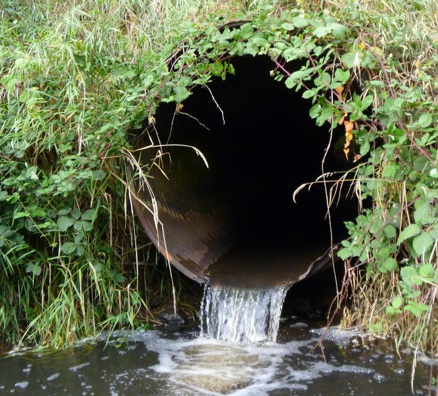 Dart Creek Fish Passage