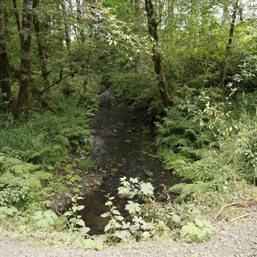 Upper Milton Creek Large Wood Enhancement