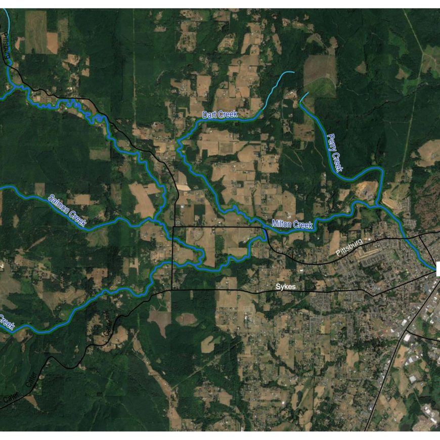 Lower Milton Creek Restoration