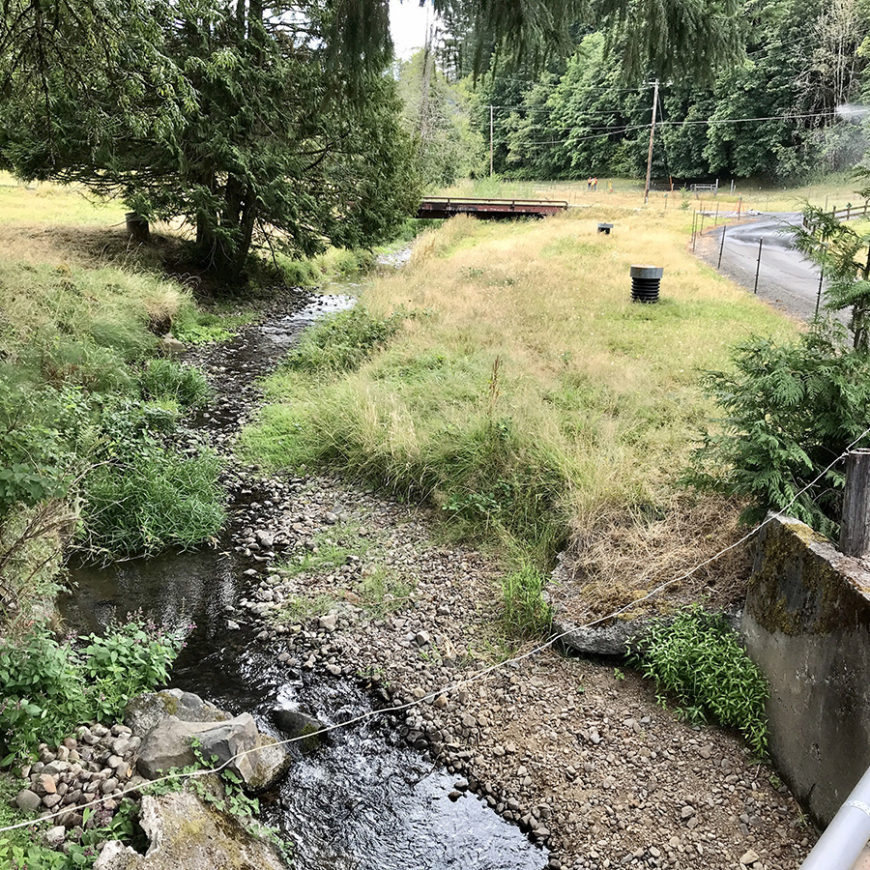 Raymond Creek Restoration Design