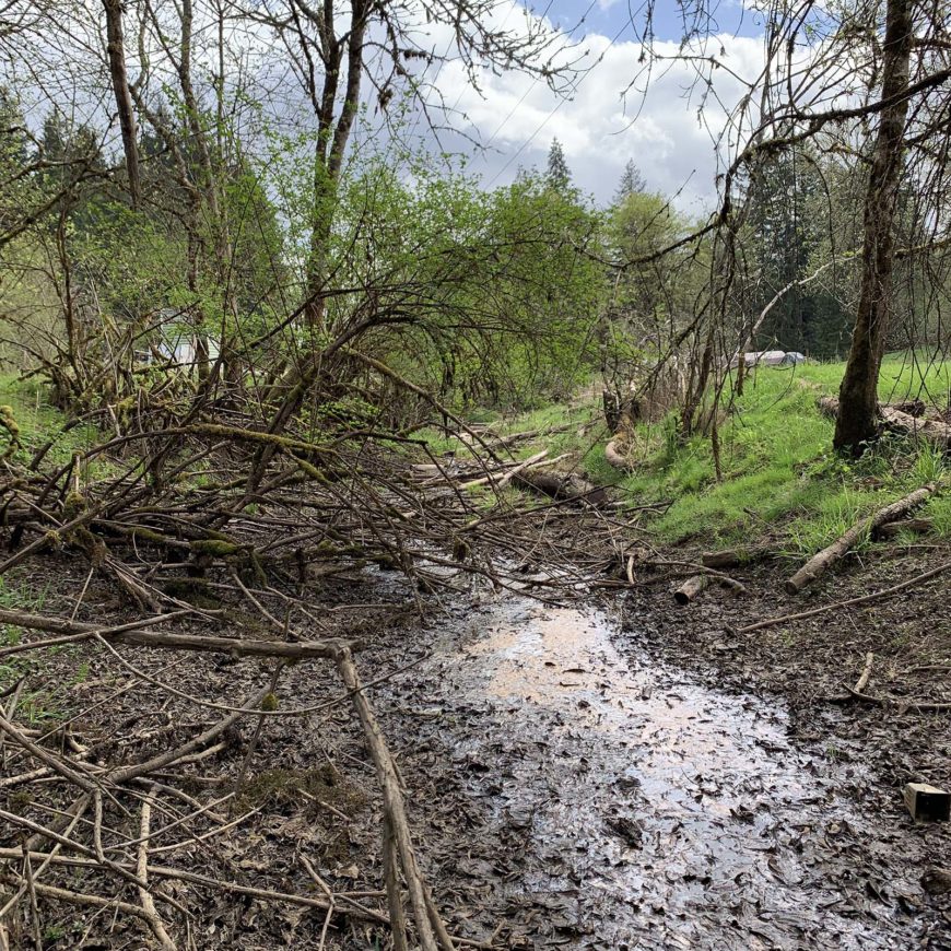 Lower Milton Creek Oxbow Reconnection
