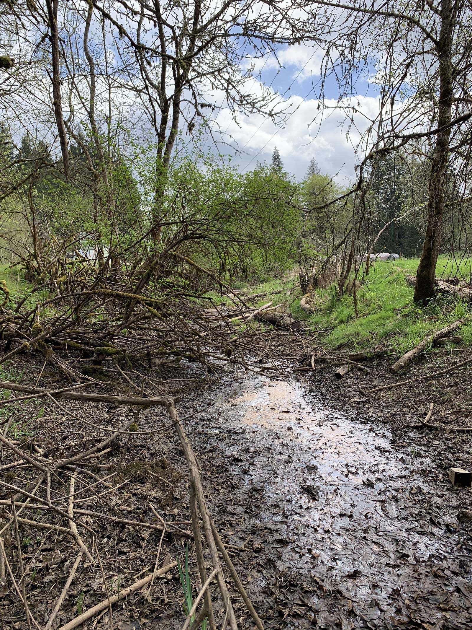 Lower Milton Creek Oxbow Restoration