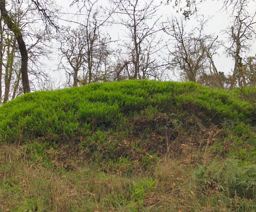 Nob Hill Nature Park Trail Enhancement
